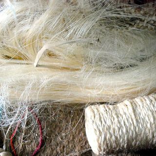 Sisal fibre